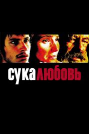 Постер Сука-любовь (2000)