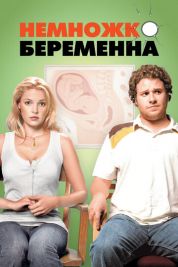 Постер Немножко беременна (2007)